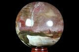 Colorful Petrified Wood Sphere - Madagascar #71403-1